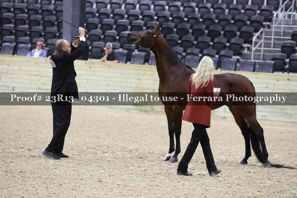 Proof Number 23R13_04301