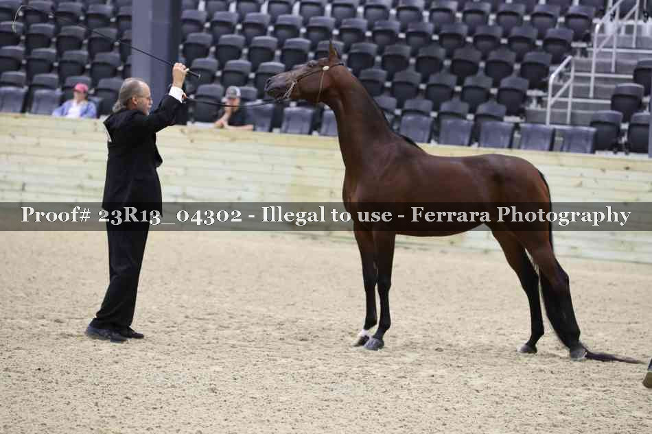 Proof Number 23R13_04302