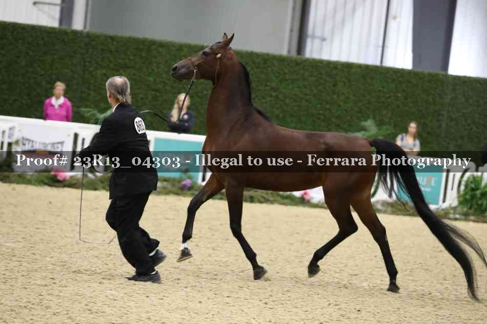Proof Number 23R13_04303