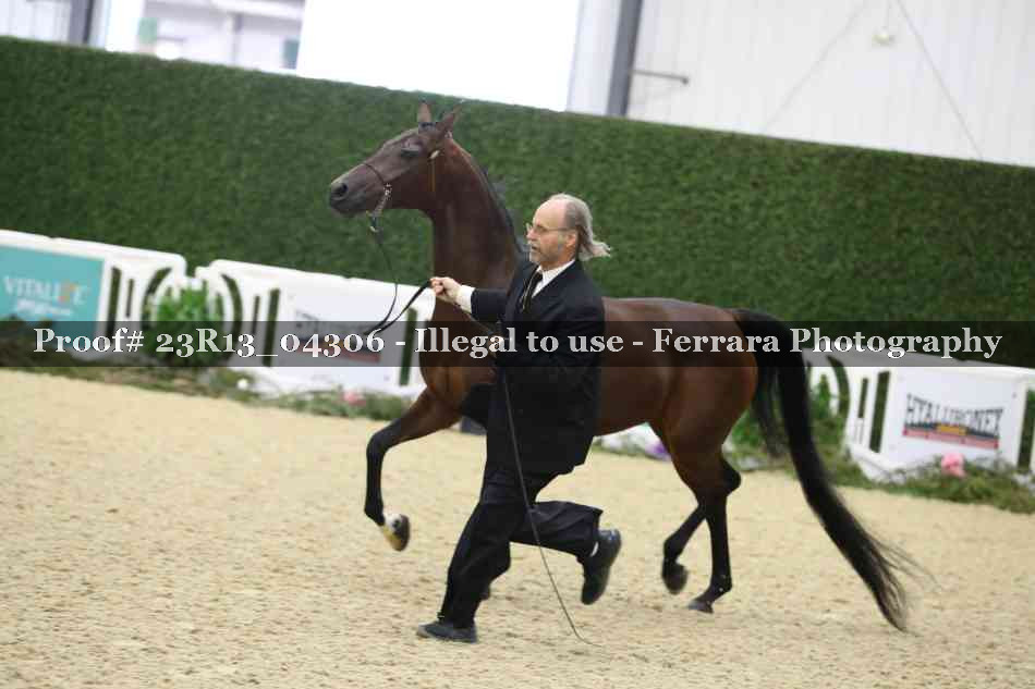 Proof Number 23R13_04306