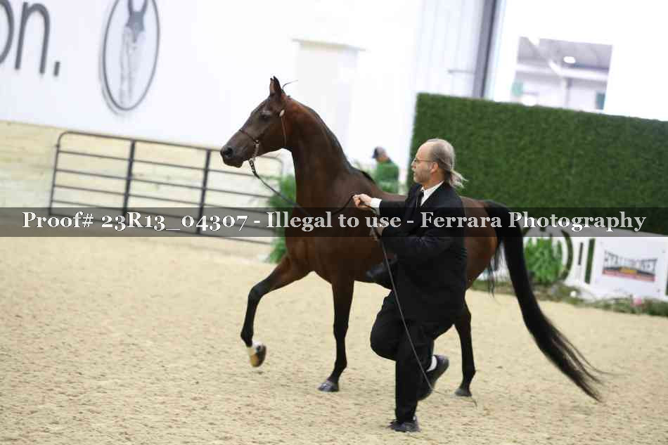Proof Number 23R13_04307