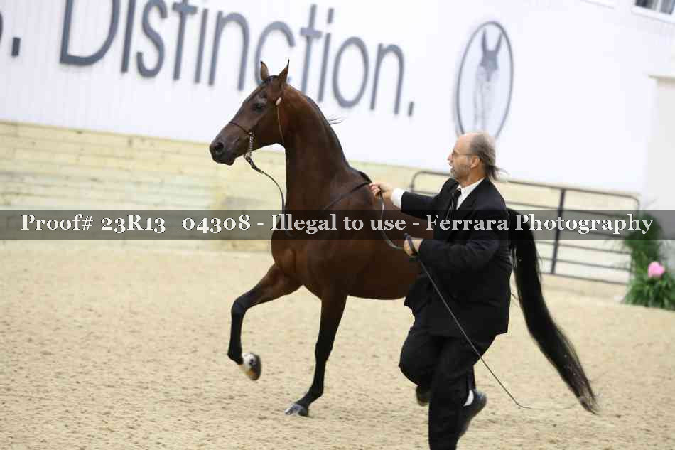 Proof Number 23R13_04308