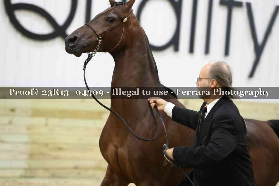 Proof Number 23R13_04309