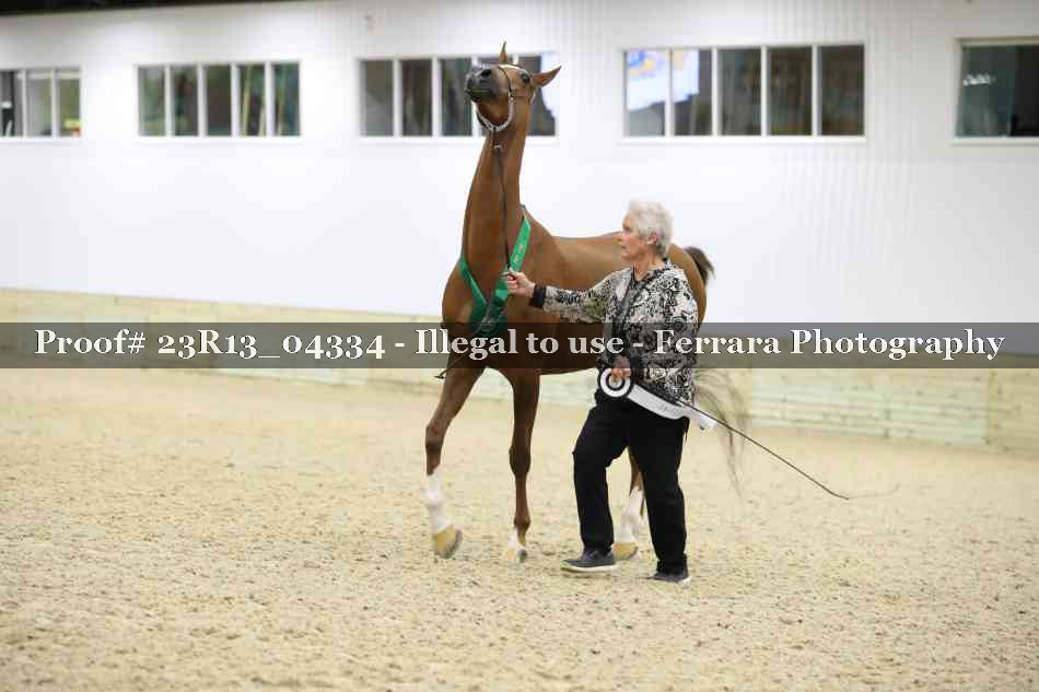 Proof Number 23R13_04334