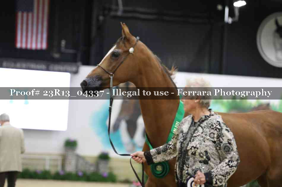 Proof Number 23R13_04337