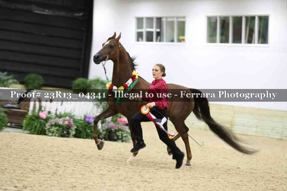 Proof Number 23R13_04341