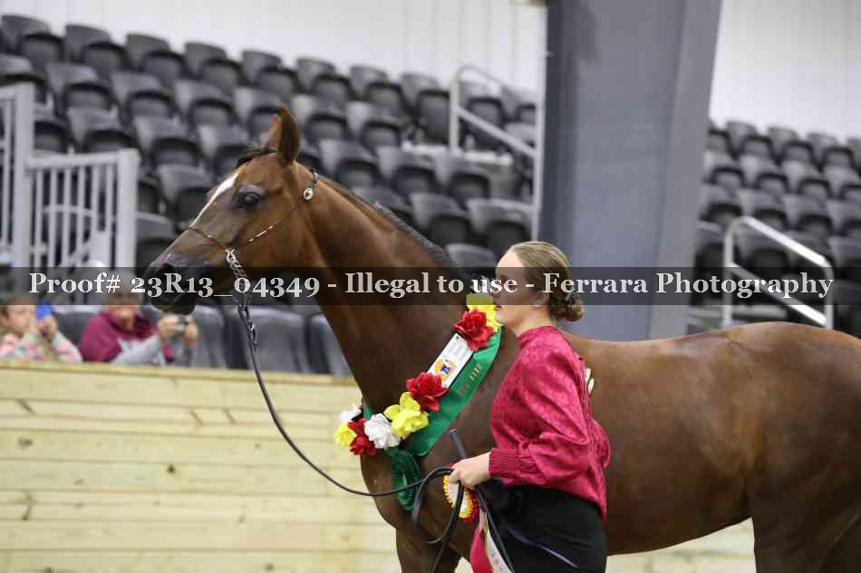 Proof Number 23R13_04349