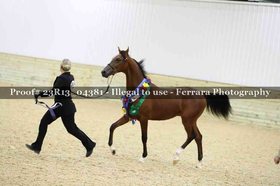 Proof Number 23R13_04381
