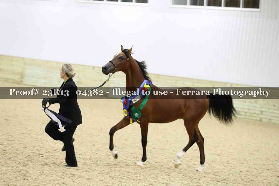 Proof Number 23R13_04382