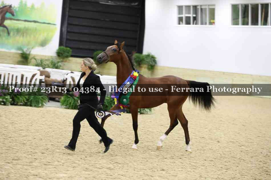 Proof Number 23R13_04384