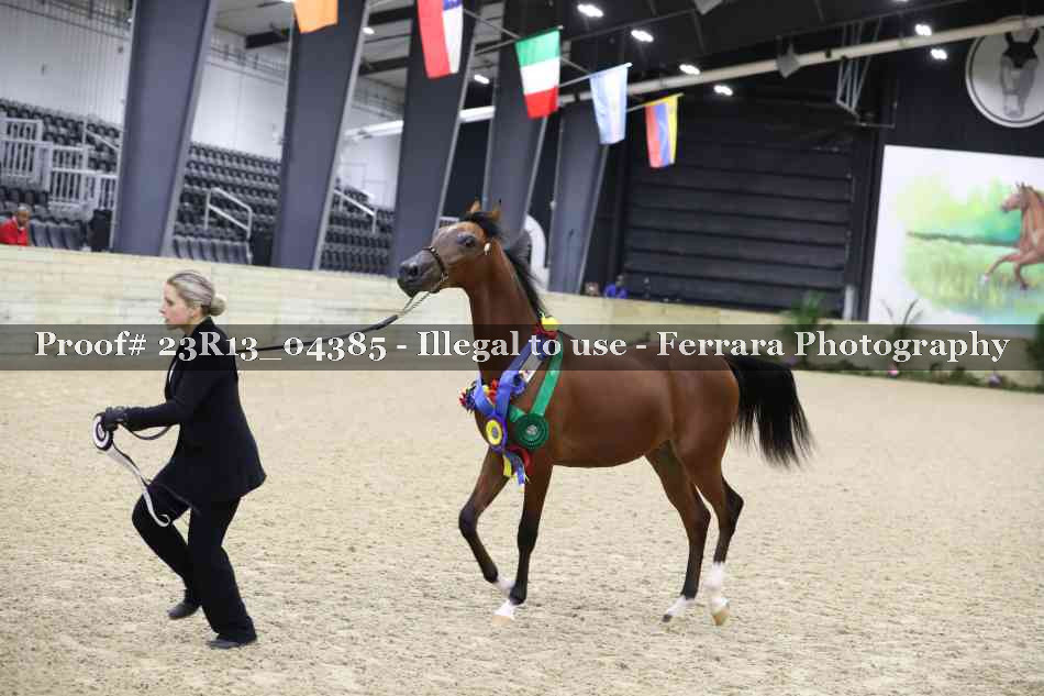 Proof Number 23R13_04385