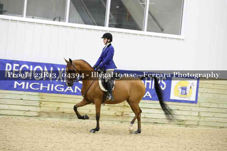 Proof Number 23R13_04394