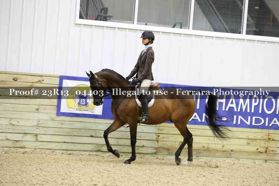 Proof Number 23R13_04403