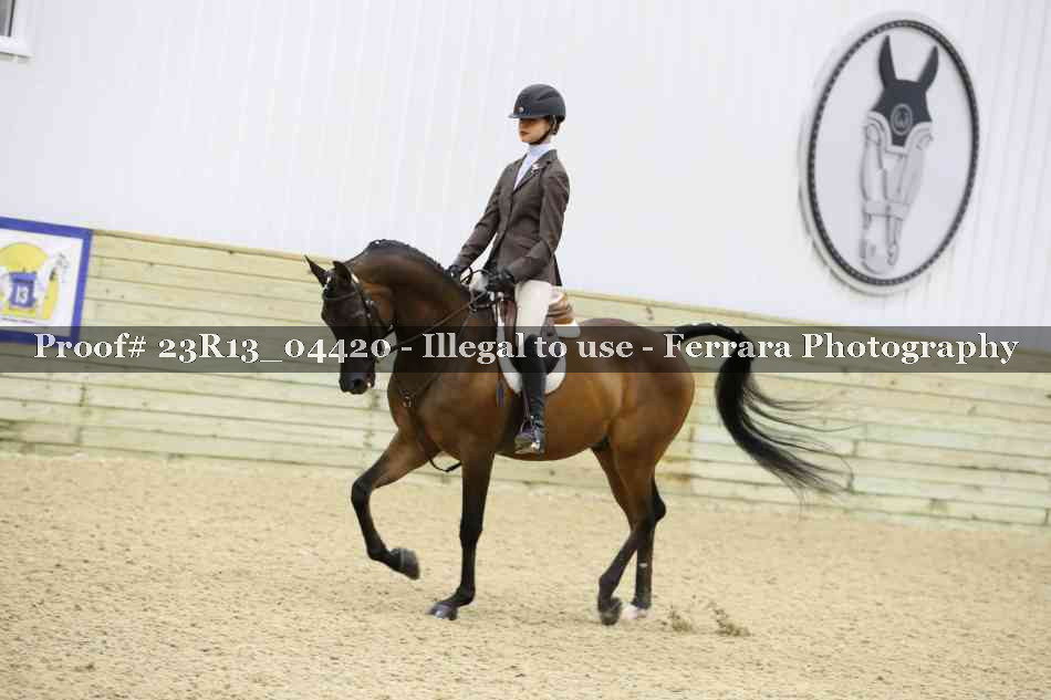 Proof Number 23R13_04420