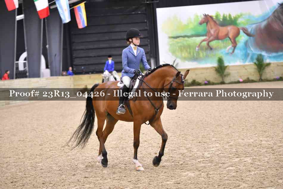 Proof Number 23R13_04426