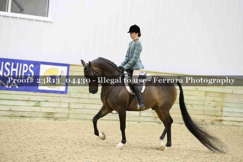 Proof Number 23R13_04430