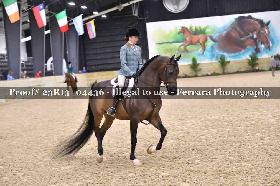 Proof Number 23R13_04436