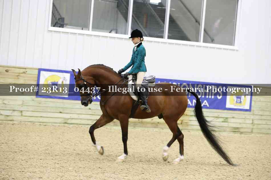 Proof Number 23R13_04437