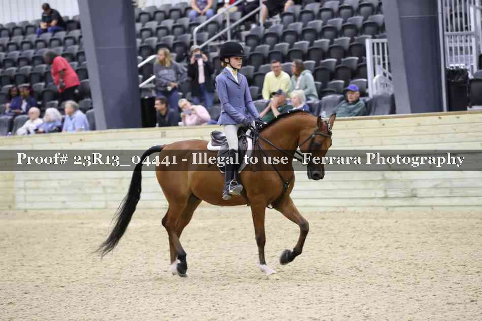 Proof Number 23R13_04441