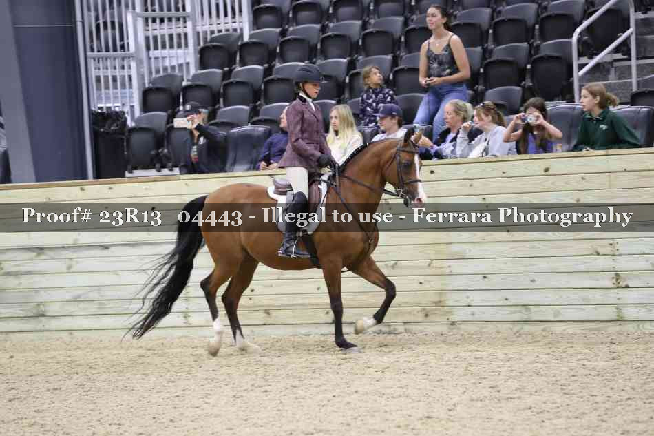 Proof Number 23R13_04443