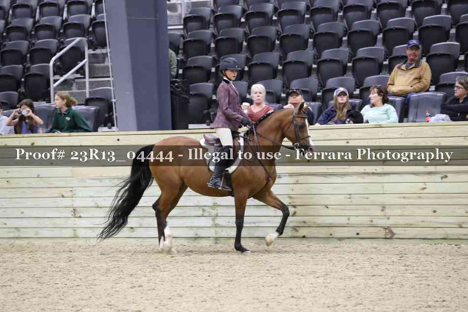 Proof Number 23R13_04444