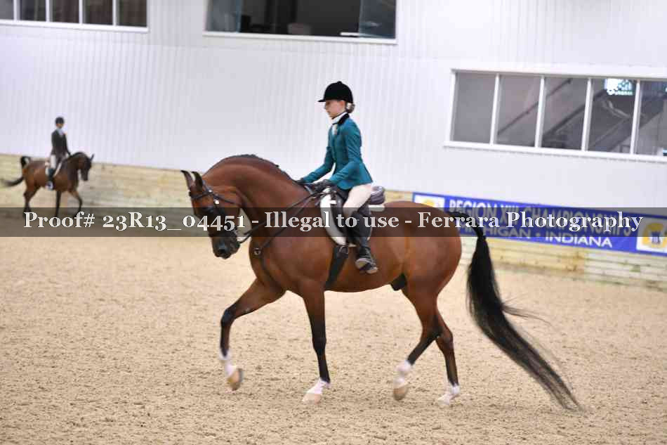 Proof Number 23R13_04451