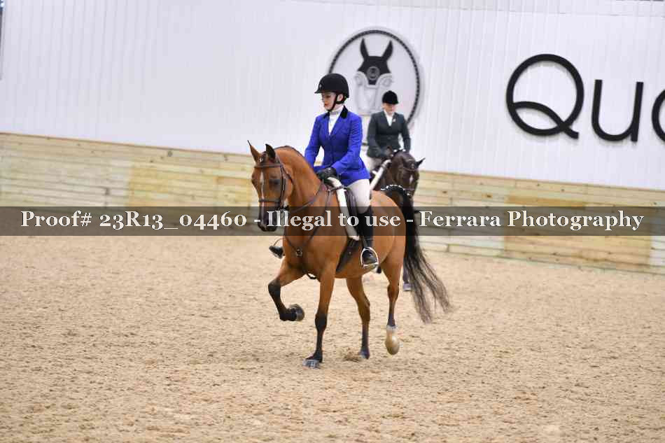 Proof Number 23R13_04460