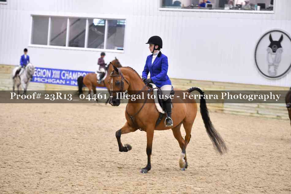 Proof Number 23R13_04461