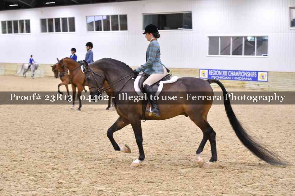 Proof Number 23R13_04462