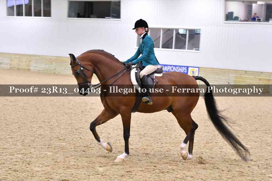 Proof Number 23R13_04463