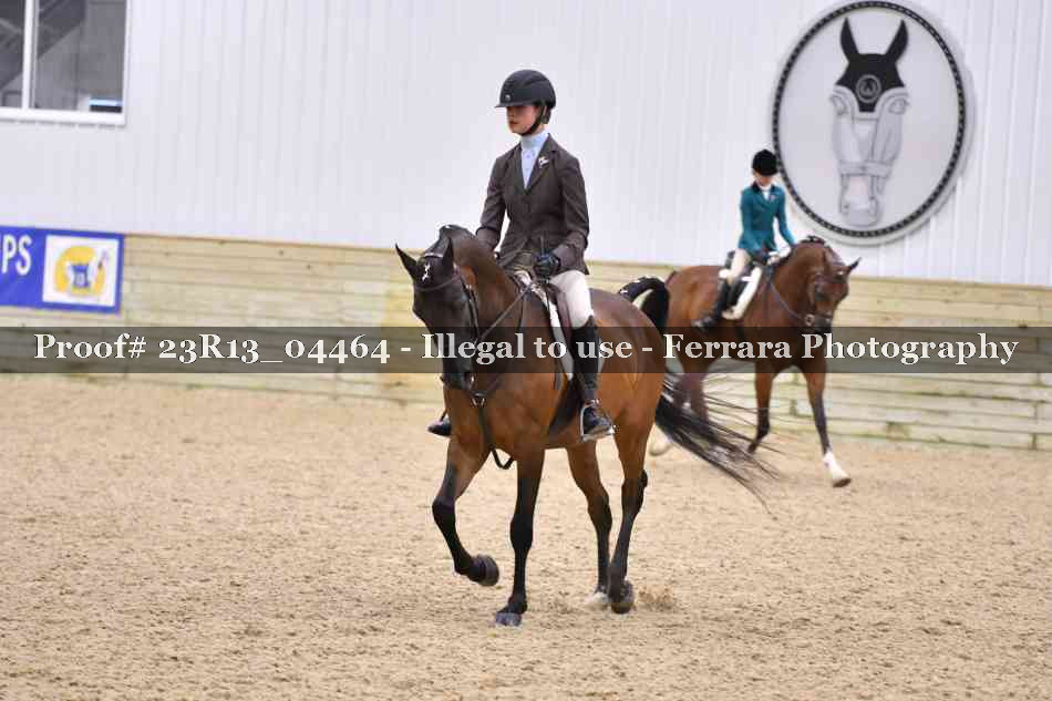 Proof Number 23R13_04464