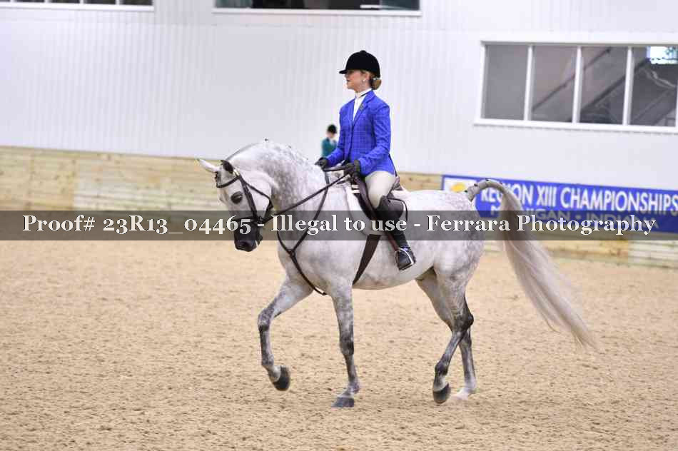 Proof Number 23R13_04465