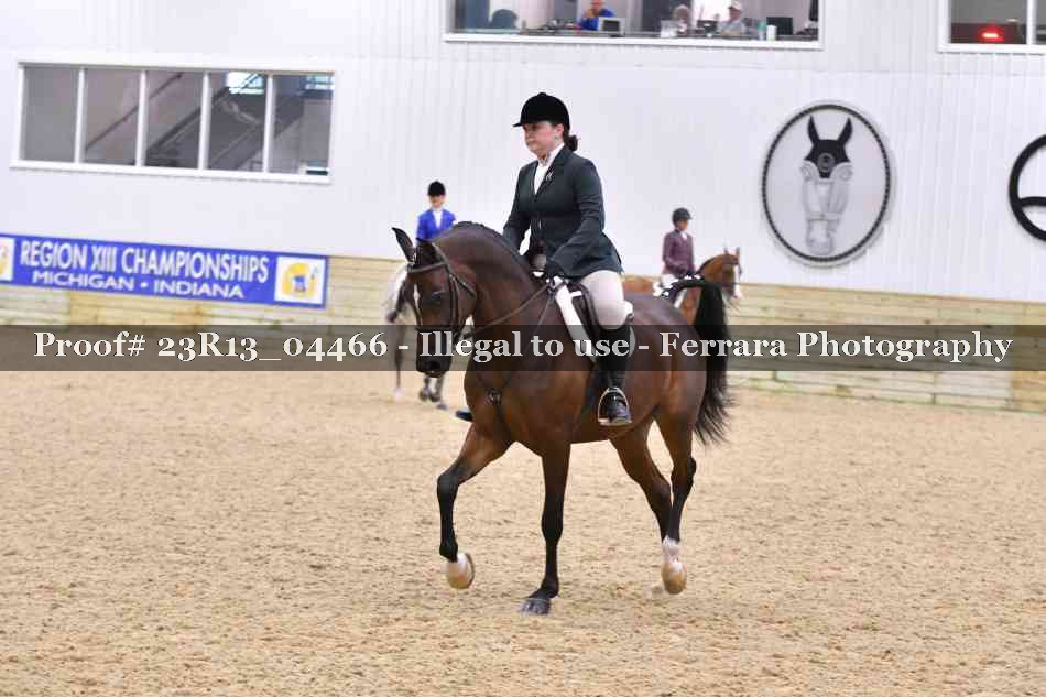 Proof Number 23R13_04466