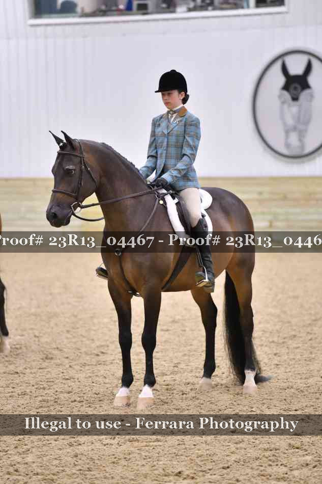 Proof Number 23R13_04467