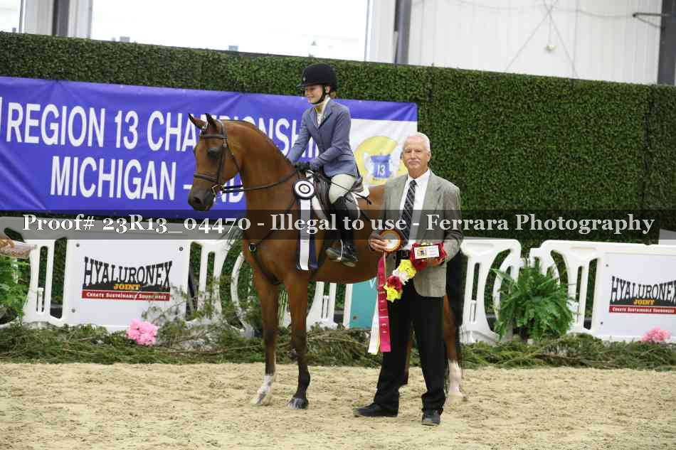 Proof Number 23R13_04470