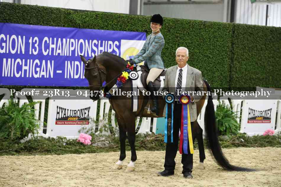 Proof Number 23R13_04473