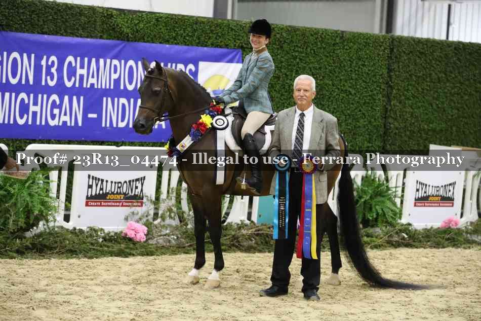 Proof Number 23R13_04474