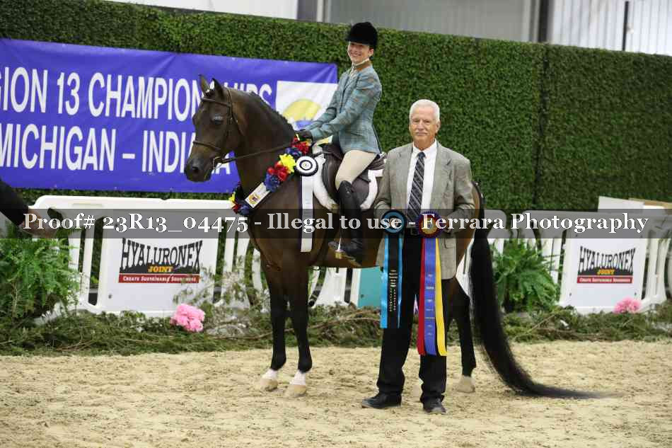 Proof Number 23R13_04475