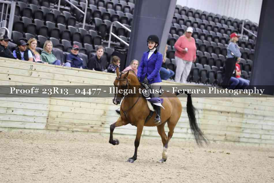 Proof Number 23R13_04477
