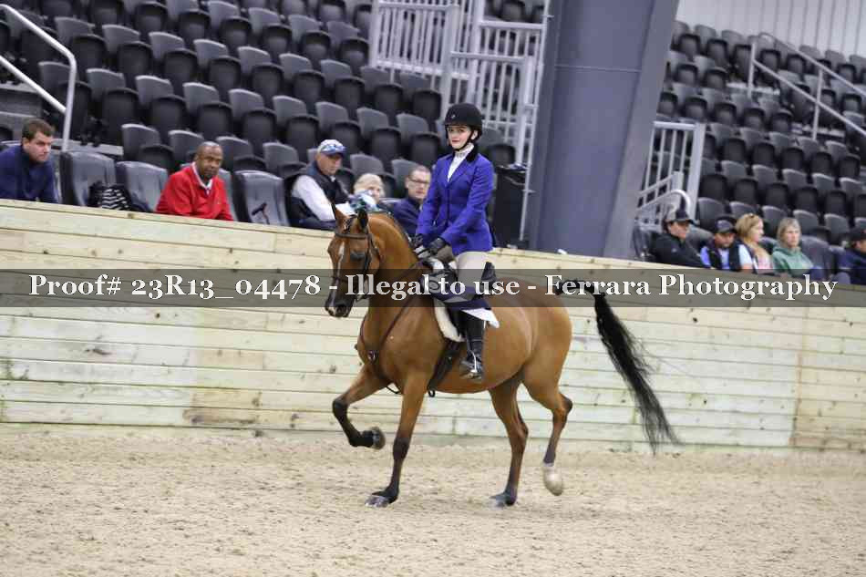 Proof Number 23R13_04478