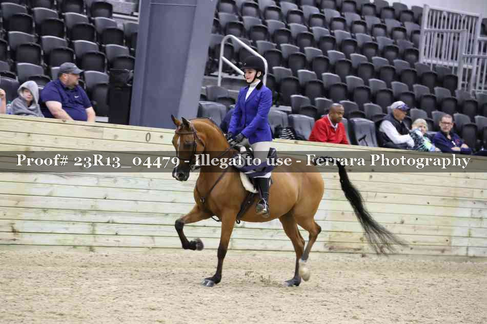 Proof Number 23R13_04479