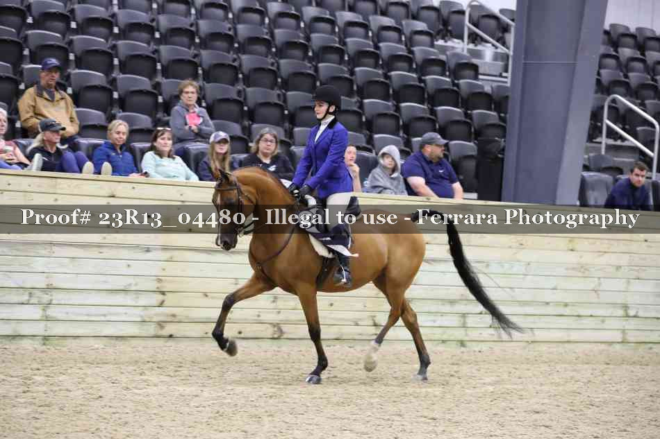 Proof Number 23R13_04480
