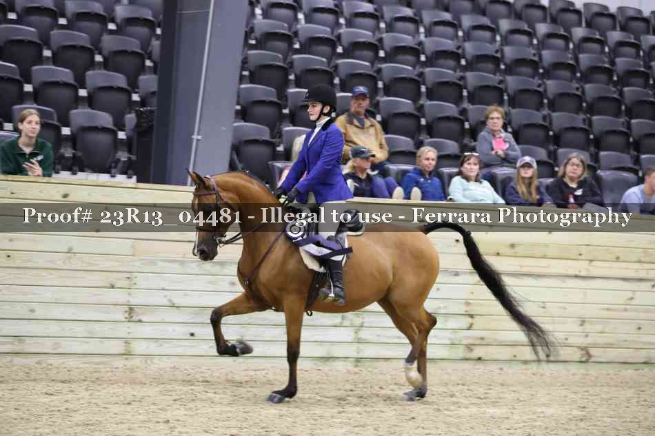 Proof Number 23R13_04481