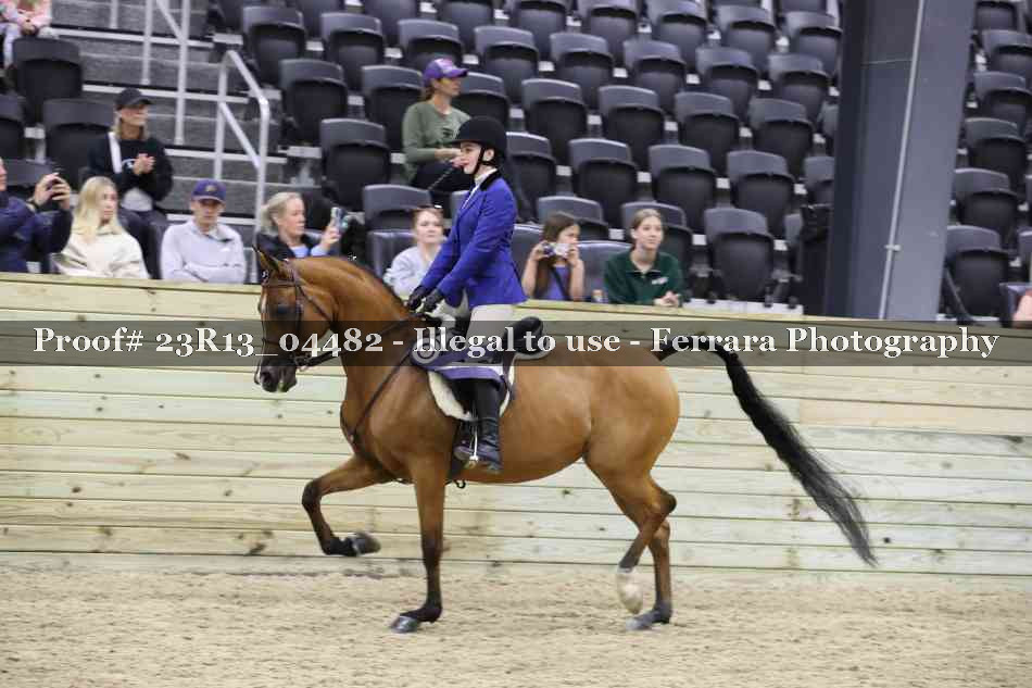 Proof Number 23R13_04482