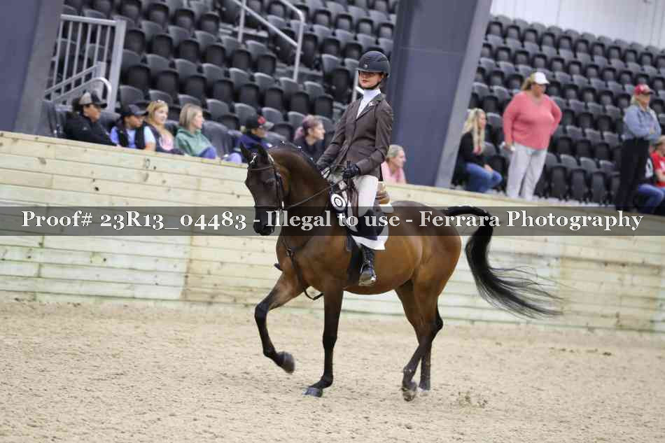 Proof Number 23R13_04483