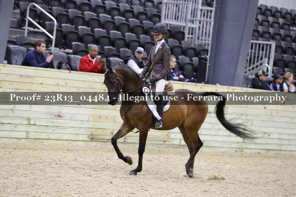 Proof Number 23R13_04484