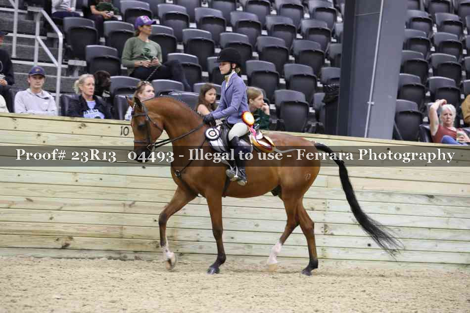 Proof Number 23R13_04493