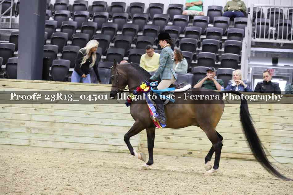 Proof Number 23R13_04501