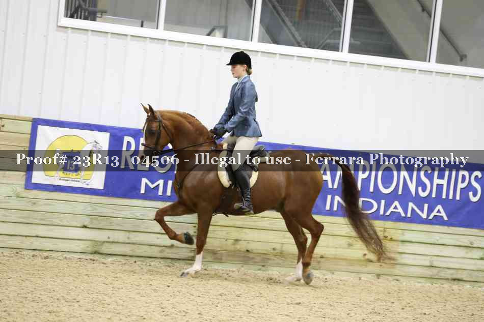 Proof Number 23R13_04506