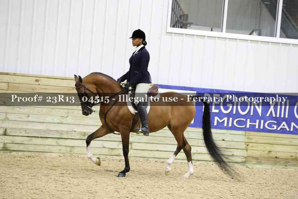 Proof Number 23R13_04515